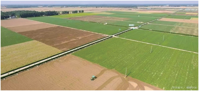 WPS图片(4).png WPS图片(4).png