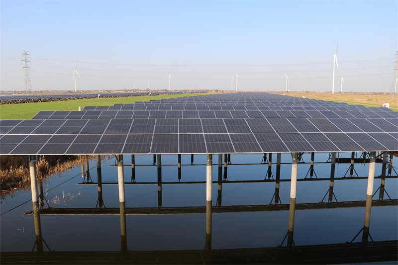 平原南麻1.JPG 平原南麻1.JPG